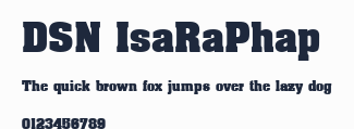 DSN IsaRaPhap預覽圖