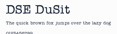 DSE DuSit預覽圖