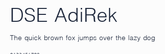 DSE AdiRek預覽圖
