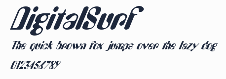 DigitalSurf預覽圖