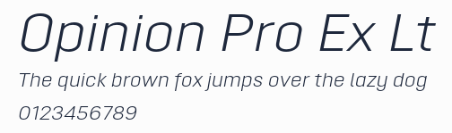 Opinion Pro Ex Lt預覽圖