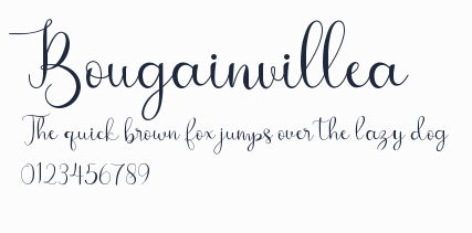 Bougainvillea預覽圖