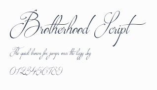 Brotherhood Script預覽圖