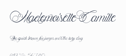 Mademoiselle Camille預覽圖