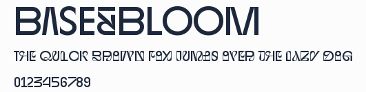 BASE&BLOOM預覽圖
