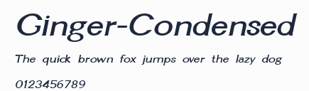 Ginger-Condensed預覽圖
