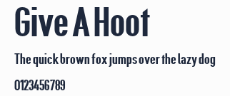 Give A Hoot預覽圖