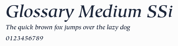 Glossary Medium SSi預覽圖