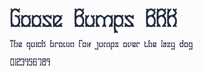 Goose Bumps BRK預覽圖