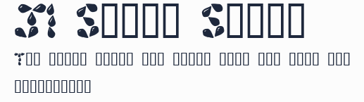 JI Shiny Seeds預覽圖