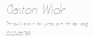 Gaston Wide預覽圖