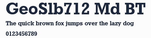 GeoSlb712 Md BT