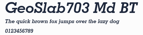 GeoSlab703 Md BT