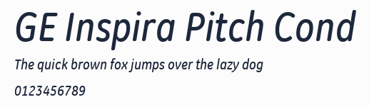GE Inspira Pitch Cond預覽圖