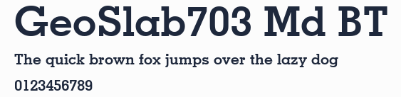 GeoSlab703 Md BT