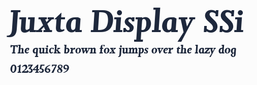 Juxta Display SSi預覽圖