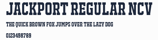 JACKPORT REGULAR NCV預覽圖