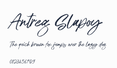 Antreg Slapoy預覽圖