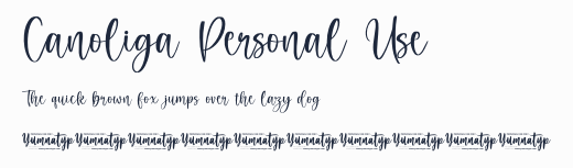 Canoliga Personal Use預覽圖