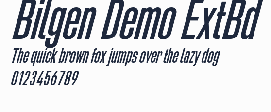 Bilgen Demo ExtBd預覽圖