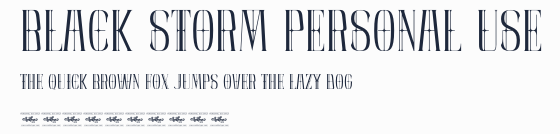 Black Storm Personal Use預覽圖