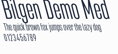 Bilgen Demo Med預覽圖