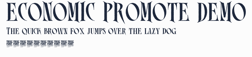 ECONOMIC PROMOTE DEMO預覽圖