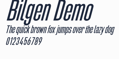 Bilgen Demo預覽圖