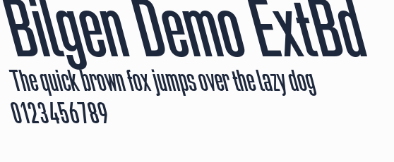 Bilgen Demo ExtBd預覽圖