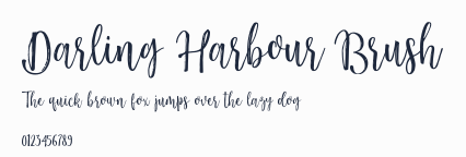 Darling Harbour Brush