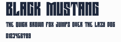 Black Mustang預覽圖