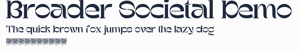 Broader Societal Demo預覽圖