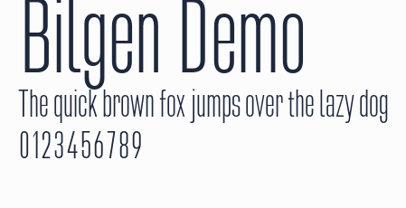 Bilgen Demo預覽圖