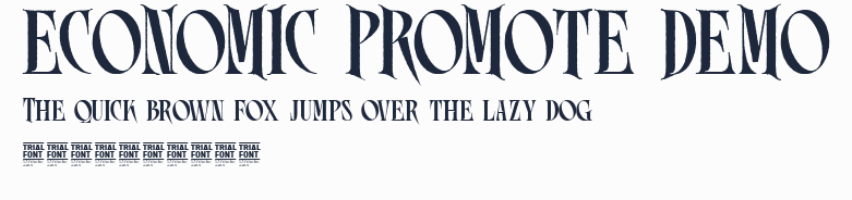 ECONOMIC PROMOTE DEMO預覽圖