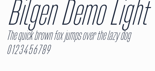 Bilgen Demo Light預覽圖