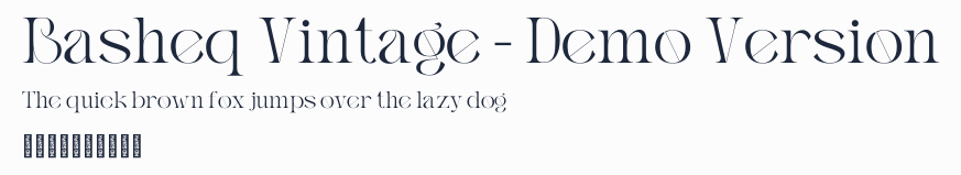 Basheq Vintage - Demo Version預覽圖