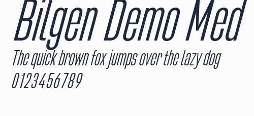 Bilgen Demo Med預覽圖