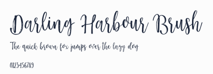 Darling Harbour Brush