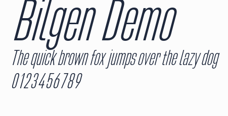 Bilgen Demo預覽圖