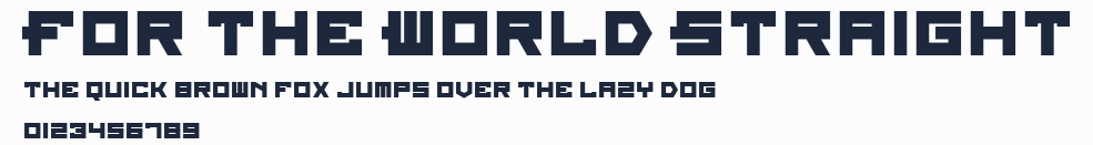 For The World Straight預覽圖