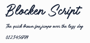 Blocken Script預覽圖