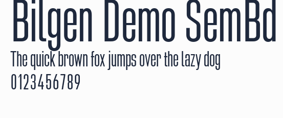 Bilgen Demo SemBd預覽圖