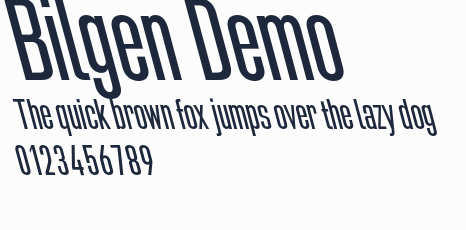 Bilgen Demo預覽圖