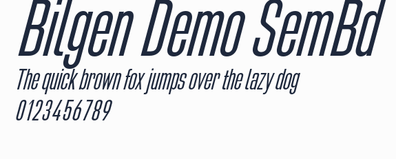 Bilgen Demo SemBd預覽圖