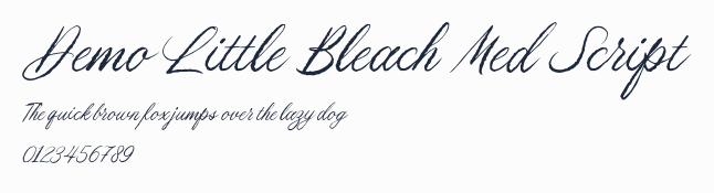 Demo Little Bleach Med Script預覽圖