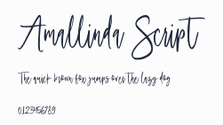 Amallinda Script預覽圖