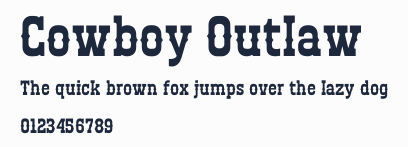 Cowboy Outlaw預覽圖