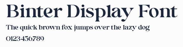 Binter Display Font預覽圖