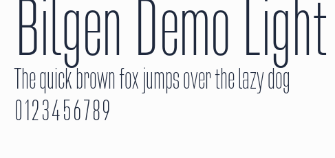 Bilgen Demo Light預覽圖