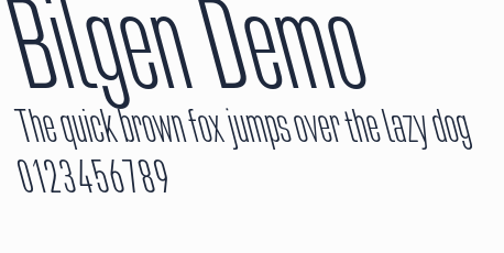 Bilgen Demo預覽圖